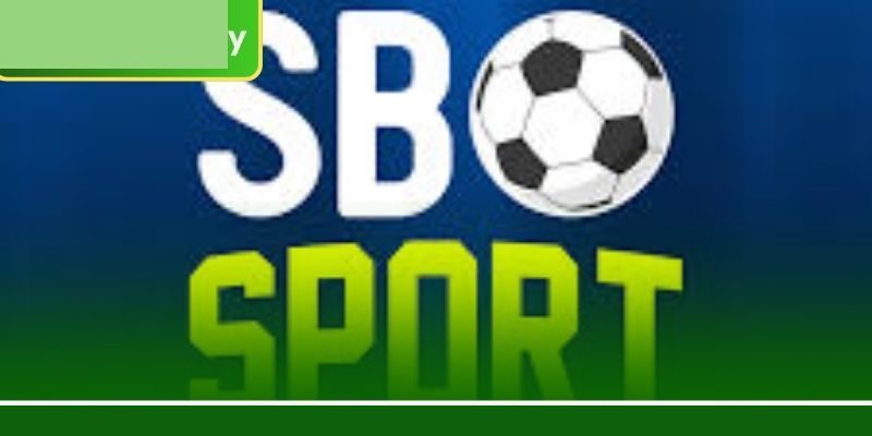 এসবিও স্পোর্ট: 8999BET-এ প্রতিদিন ১০০+ লাভজনক বেটিং মার্কেট